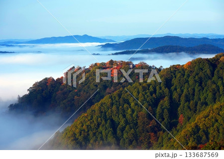紅葉の天空の山城2410 紅葉の天空の山城2410 133687569