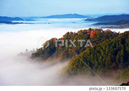 紅葉の天空の山城2418 133687570
