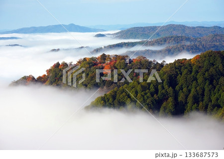 紅葉の天空の山城2527 133687573