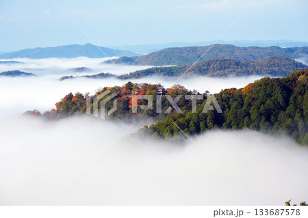 紅葉の天空の山城2626 133687578