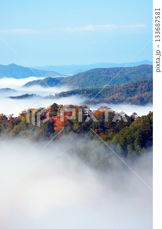 紅葉の天空の山城2667 133687581