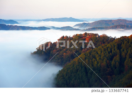 紅葉の天空の山城2321 紅葉の天空の山城2321 133687741