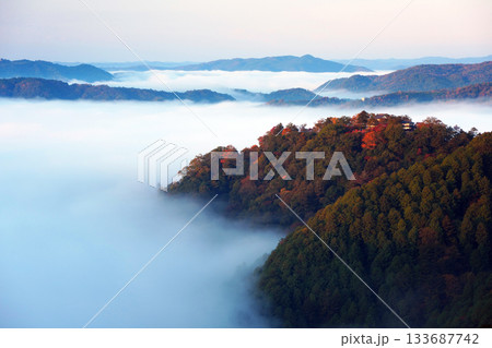 紅葉の天空の山城2328 紅葉の天空の山城2328 133687742