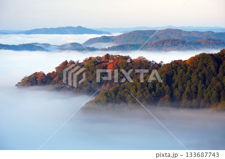 紅葉の天空の山城2343 133687743