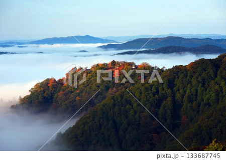 紅葉の天空の山城2407 紅葉の天空の山城2407 133687745