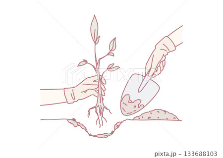 Person with shovel plant tree in ground Person with shovel plant tree in ground 133688103