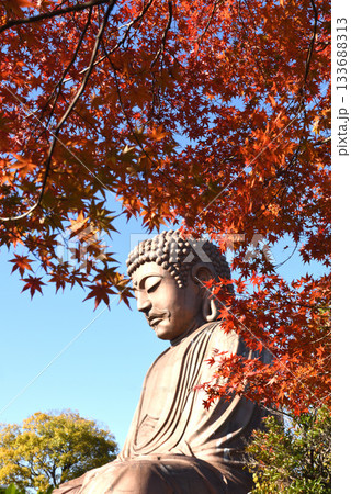 東海市聚楽園公園の大仏と紅葉 東海市聚楽園公園の大仏と紅葉 133688313
