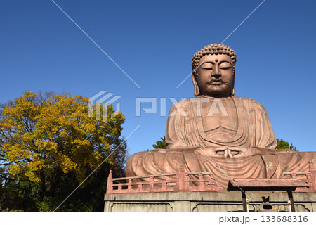 東海市聚楽園公園の大仏と紅葉 133688316
