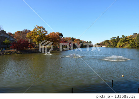 東海市聚楽園公園の大仏と紅葉 133688318