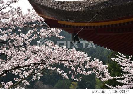 春の談山神社 春の談山神社 133688374