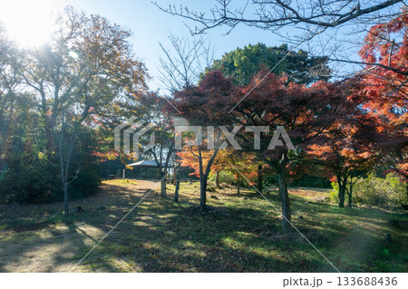日本の香川県高松市屋島のとても美しい秋の風景 日本の香川県高松市屋島のとても美しい秋の風景 133688436