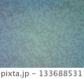 赤血球 集めた 集合 133688531