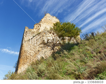 Ruins of Tyrov Castle above Berounka River in Czechia Ruins of Tyrov Castle above Berounka River in Czechia 133688810