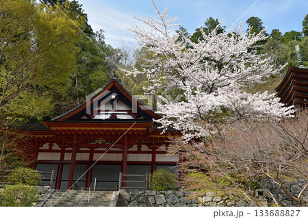春の談山神社 133688827