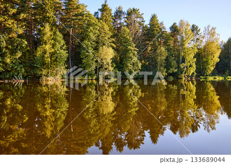 Tranquil River Reflections of Autumn Trees 133689044