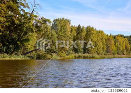 Serene Riverbank Scene with Lush Greenery 133689061