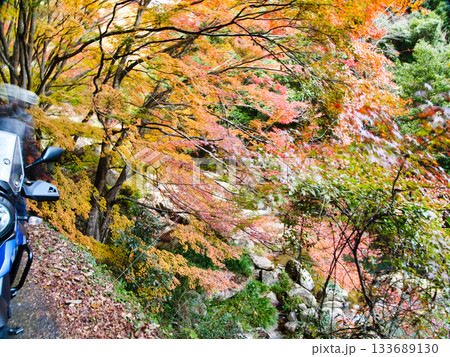 岡山豪渓、紅葉 133689130
