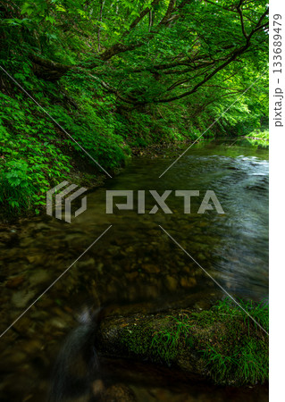 南会津町の渓流と新緑が織りなす静かな初夏の風景 南会津町の渓流と新緑が織りなす静かな初夏の風景 133689479