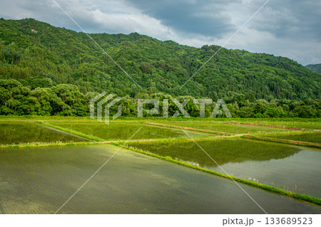 初夏の南会津町に広がる水田と深緑の山並みの風景 初夏の南会津町に広がる水田と深緑の山並みの風景 133689523