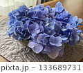 青色の紫陽花のテーブルフォト｜インテリア・梅雨の季節イメージ 133689731