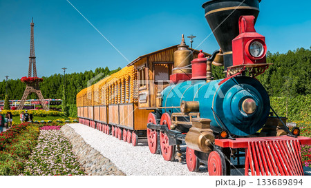 Dubai miracle garden timelapse with over 45 million flowers in a sunny day, United Arab Emirates 133689894