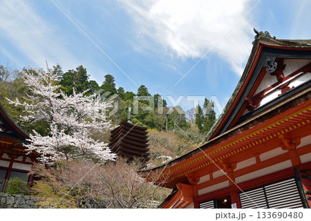 桜に囲まれた談山神社 桜に囲まれた談山神社 133690480