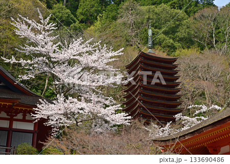 桜に囲まれた談山神社 桜に囲まれた談山神社 133690486