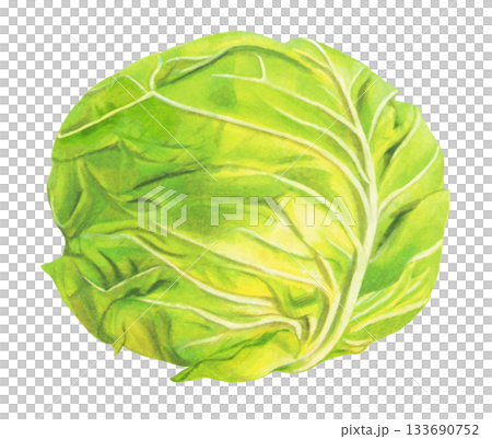 白菜的插圖 133690752