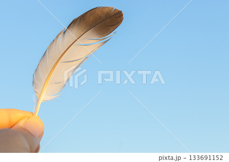 鳥の羽をもっている　背景青空 133691152