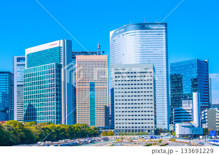 日本の東京都市景観 汐留のビル群や旧築地市場（6）仮設搬出入路及び荷揚げ桟橋上部工撤去工事などを望む 133691229