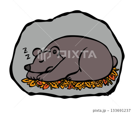 巣穴で冬眠をするクマ 熊 くま 巣穴で冬眠をするクマ 熊 くま 133691237