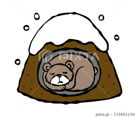 山で冬眠をするクマ　熊　くま 133691239