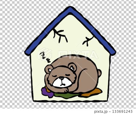 Bear hibernating in a private home Bear hibernating in a private home 133691243