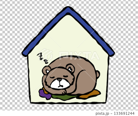 Bear hibernating in a private home Bear hibernating in a private home 133691244