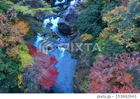 紅葉に染まる渓谷 奥多摩 大多摩ウオーキングトレイル 紅葉に染まる渓谷 奥多摩 大多摩ウオーキングトレイル 133692043