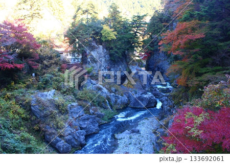 紅葉に染まる渓谷 奥多摩 大多摩ウオーキングトレイル 紅葉に染まる渓谷 奥多摩 大多摩ウオーキングトレイル 133692061