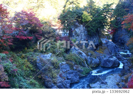 紅葉に染まる渓谷　奥多摩　大多摩ウオーキングトレイル 133692062