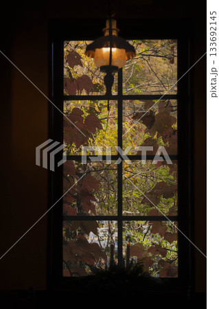 蔦のからまる秋のレトロな窓辺 133692145