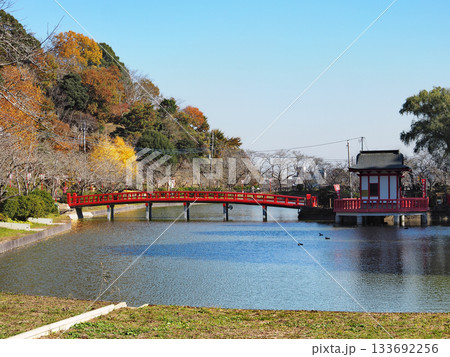 茂原公園 茂原公園 133692256