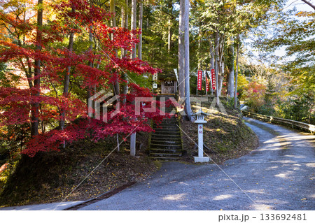 埼玉県飯能市　秋の東郷公園・秩父御嶽神社 133692481