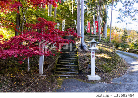 埼玉県飯能市　秋の東郷公園・秩父御嶽神社 133692484