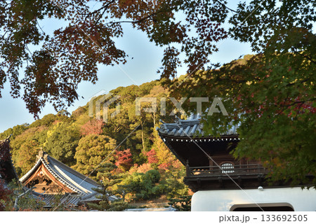 興聖寺　琴坂　秋の風景(京都府宇治市) 133692505