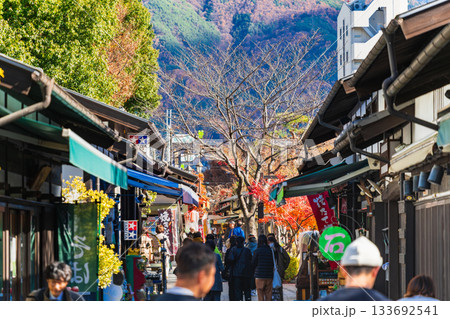 松本市 秋の縄手通り ※一部ソフトフォーカス 松本市 秋の縄手通り ※一部ソフトフォーカス 133692541