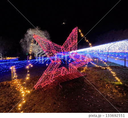 やくらいガーデン星あかり 133692551