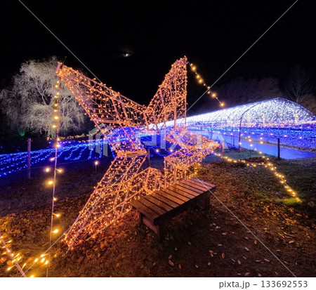 やくらいガーデン星あかり 133692553