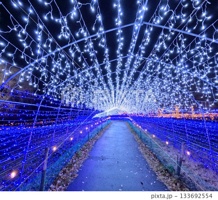 やくらいガーデン星あかり 133692554