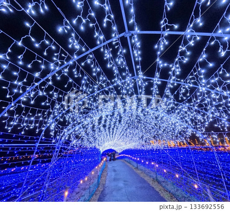 やくらいガーデン星あかり 133692556