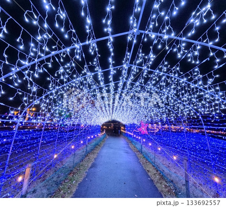 やくらいガーデン星あかり 133692557