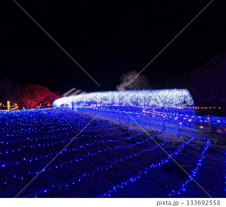 やくらいガーデン星あかり 133692558