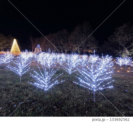 やくらいガーデン星あかり 133692562